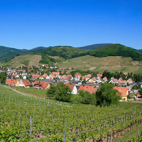 Village