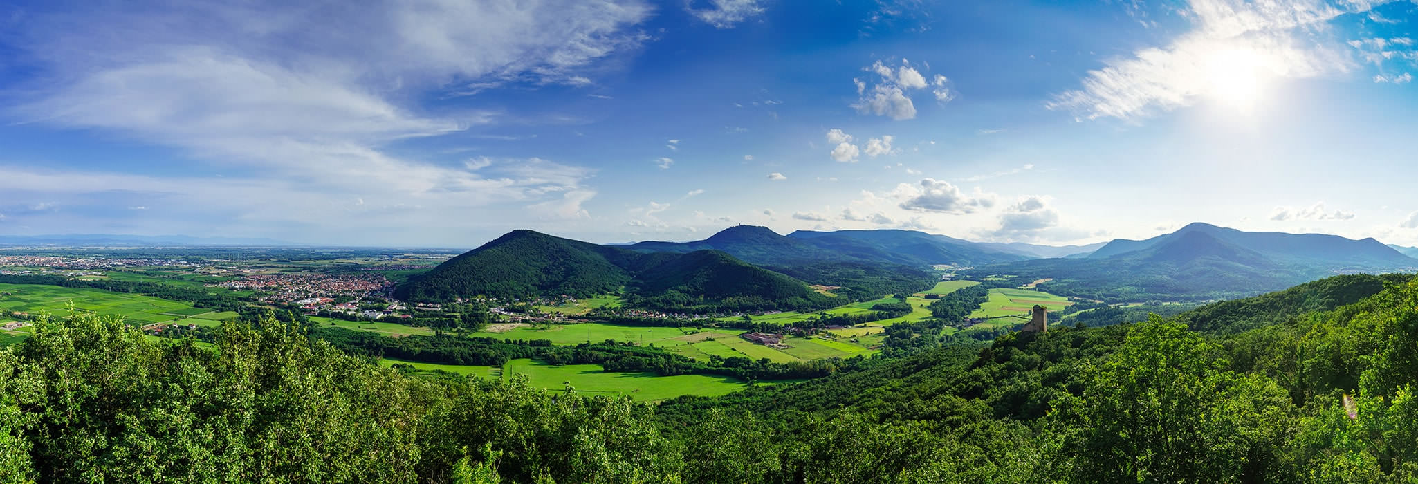 Haute Cuisine: 
Tartes flambées, Sauerkraut, Baeckeoffe, unique specialities for you to enjoy